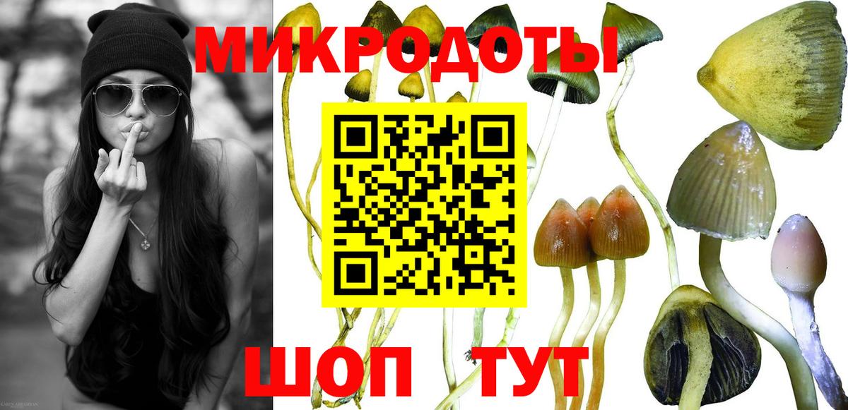 Среднеуральск  магазин продажи   Вход с VPN  Псилоцибиновые грибы Psilocybe 